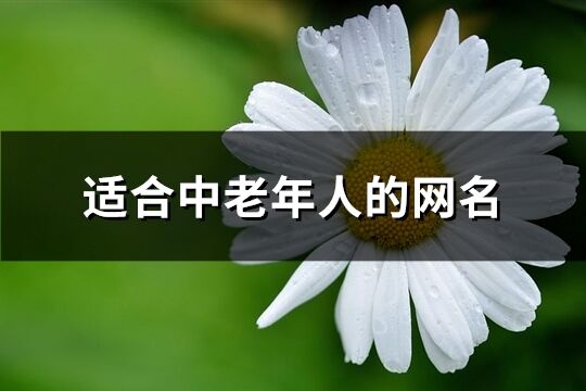 适合中老年人的网名(精选328个)