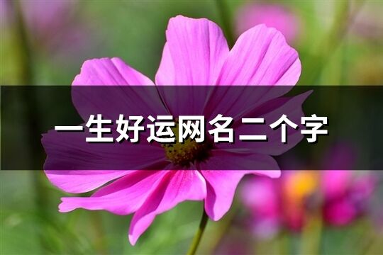 一生好运网名二个字(828个)