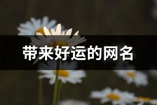 带来好运的网名(优选788个)