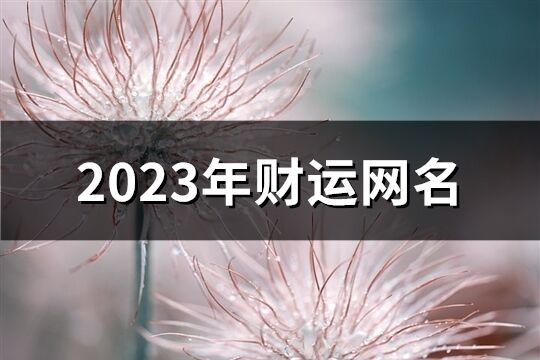 2023年财运网名(802个)