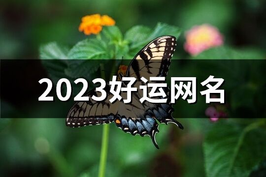 2023好运网名(共676个)