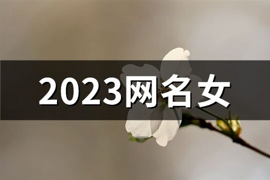 2023网名女(精选1003个)