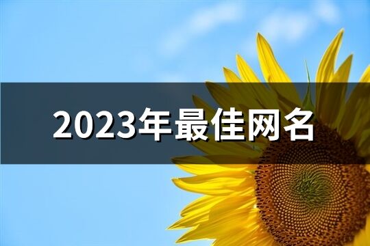 2023年最佳网名(优选1304个)
