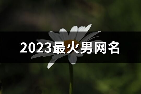 2023最火男网名(723个)