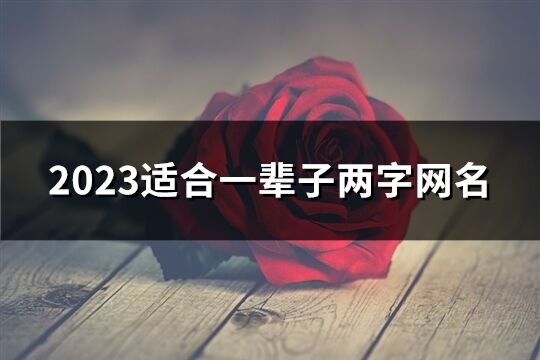 2023适合一辈子两字网名(优选994个)