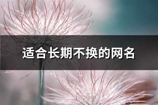适合长期不换的网名(优选893个)