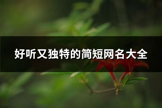 好听又独特的简短网名大全(共609个)