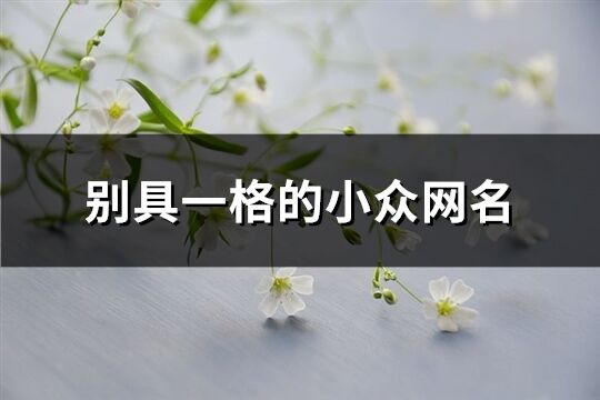 别具一格的小众网名(共249个)
