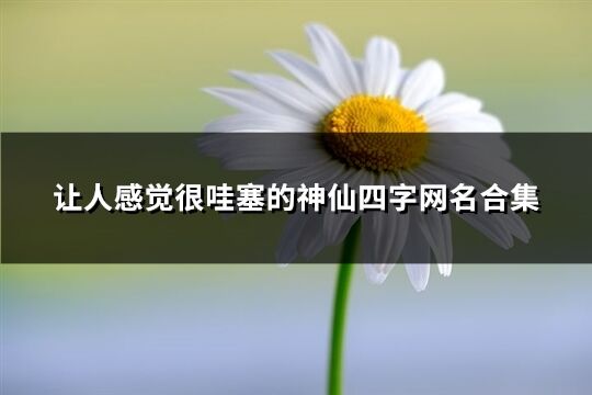 让人感觉很哇塞的神仙四字网名合集(299个)