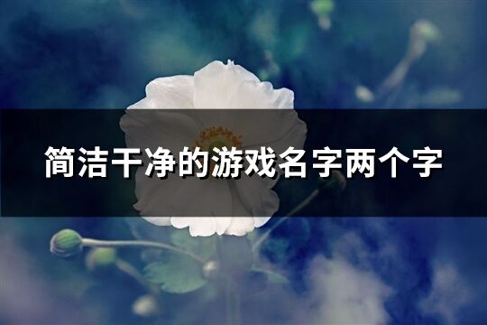 简洁干净的游戏名字两个字(共537个)