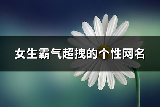 女生霸气超拽的个性网名(共439个)