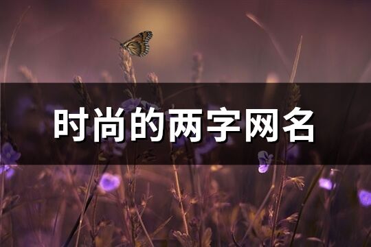 时尚的两字网名(精选409个)