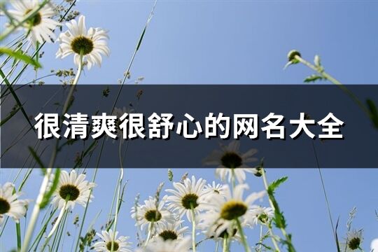 很清爽很舒心的网名大全(精选423个)