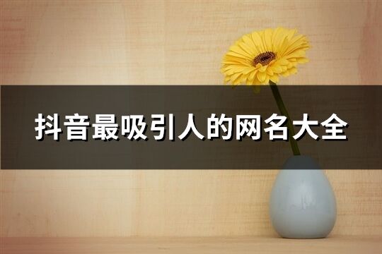 抖音最吸引人的网名大全(优选2097个)