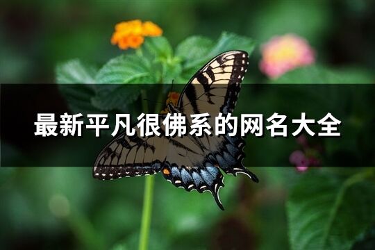 最新平凡很佛系的网名大全(共397个)