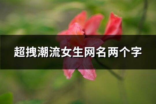 超拽潮流女生网名两个字(精选317个)