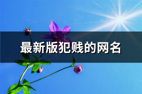 最新版犯贱的网名(优选370个)