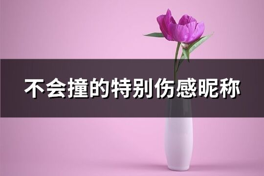 不会撞的特别伤感昵称(85个)