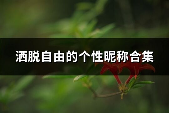 洒脱自由的个性昵称合集(296个)
