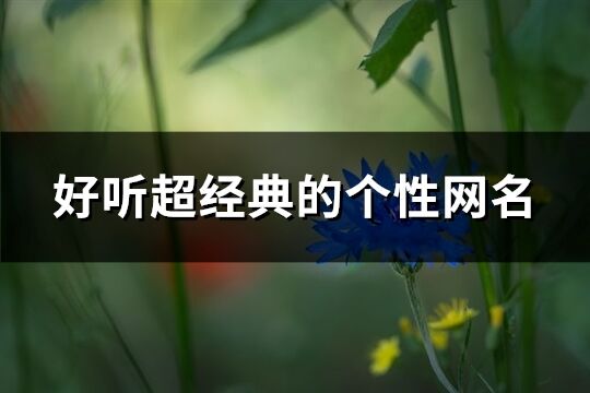 好听超经典的个性网名(精选333个)
