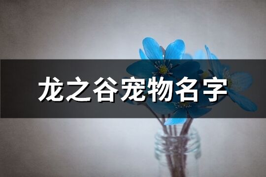 龙之谷宠物名字(优选112个)