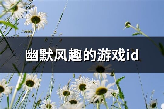 幽默风趣的游戏id(172个)