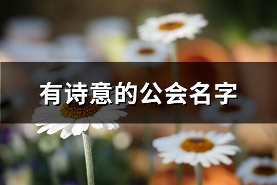 有诗意的公会名字(共361个)