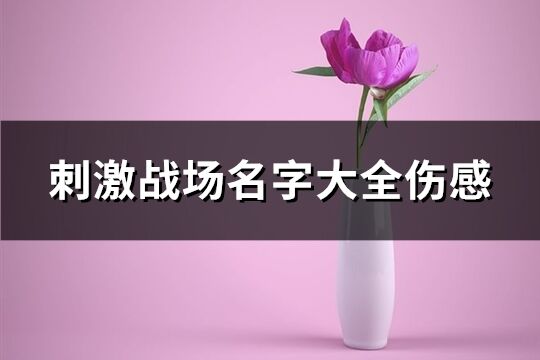 刺激战场名字大全伤感(精选332个)
