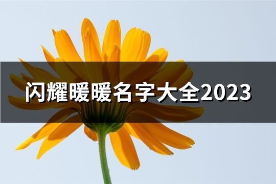 闪耀暖暖名字大全2023(优选303个)