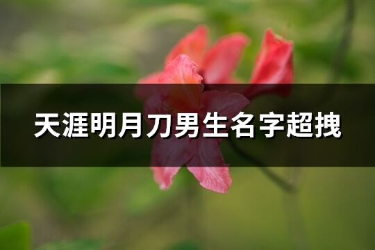 天涯明月刀男生名字超拽(精选346个)