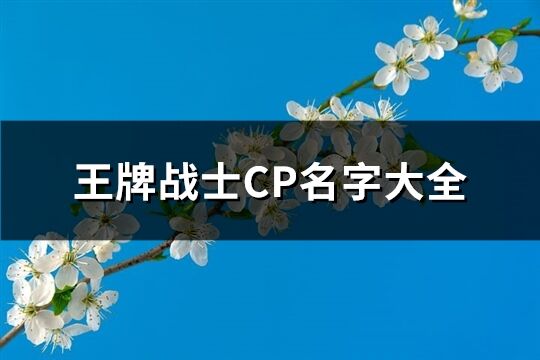 王牌***CP名字大全(共269个)