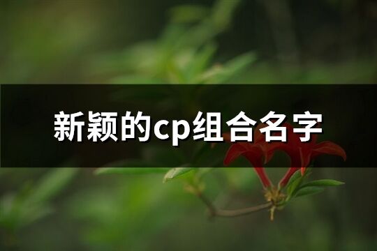 新颖的cp组合名字(优选134个)