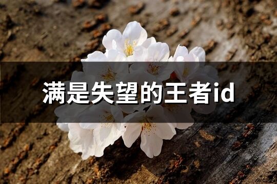 满是失望的王者id(286个)