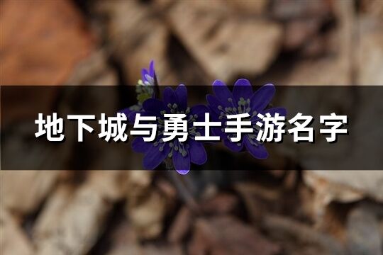 地下城与勇士手游名字(优选116个)
