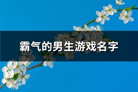 霸气的男生游戏名字(503个)