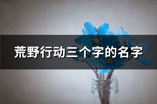 荒野行动三个字的名字(共195个)