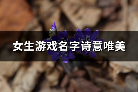 女生游戏名字诗意唯美(161个)