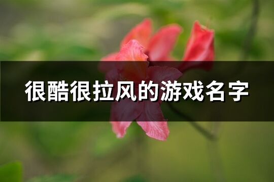 很酷很拉风的游戏名字(258个)
