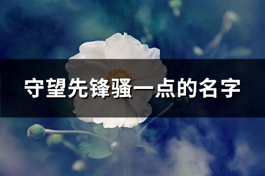 守望先锋骚一点的名字(共284个)