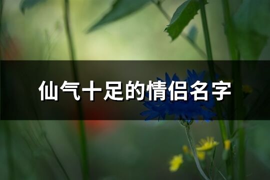 仙气十足的情侣名字(优选217个)