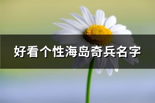 好看个性海岛奇兵名字(精选138个)