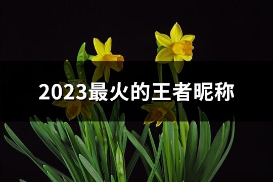 2023最火的王者昵称(优选194个)