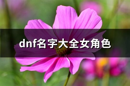 dnf名字大全女角色(332个)