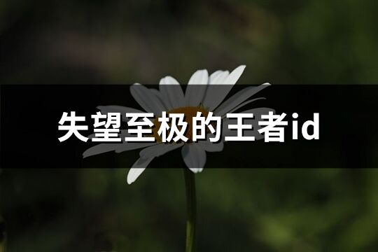 失望至极的王者id(优选561个)