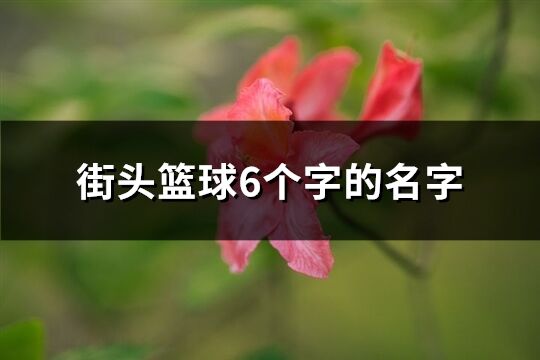 街头篮球6个字的名字(367个)