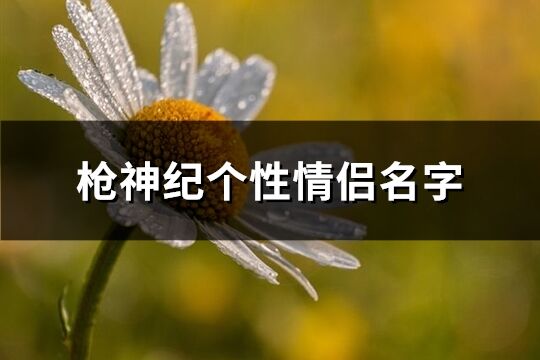 ***神纪个性情侣名字(共92个)