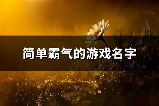 简单霸气的游戏名字(共123个) 简单霸气的游戏名字(共123个)