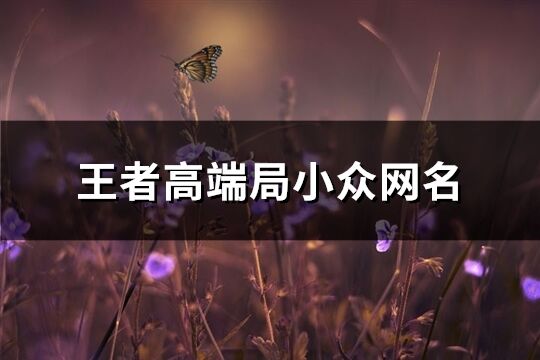 王者高端局小众网名(257个)