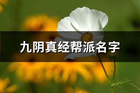 九阴真经帮派名字(优选267个)