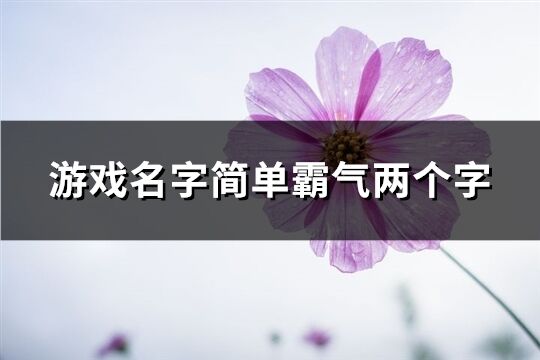 游戏名字简单霸气两个字(398个)